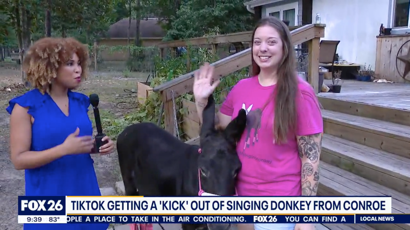 monte the singing donkey fox26 houston