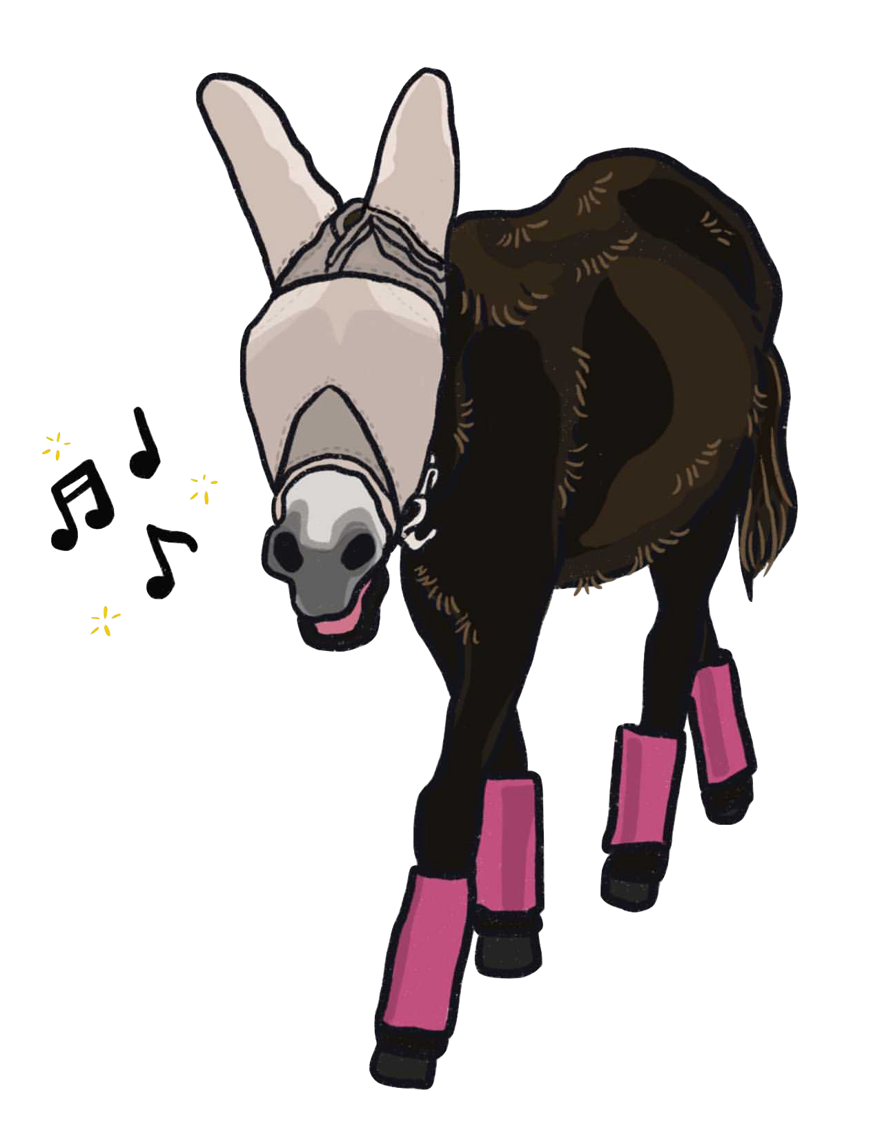 Monte the Singing Donkey