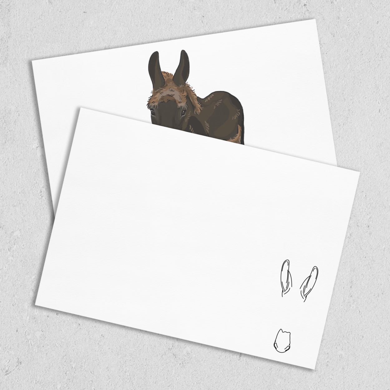 Monte the Singing Donkey Summer Cut Notecards