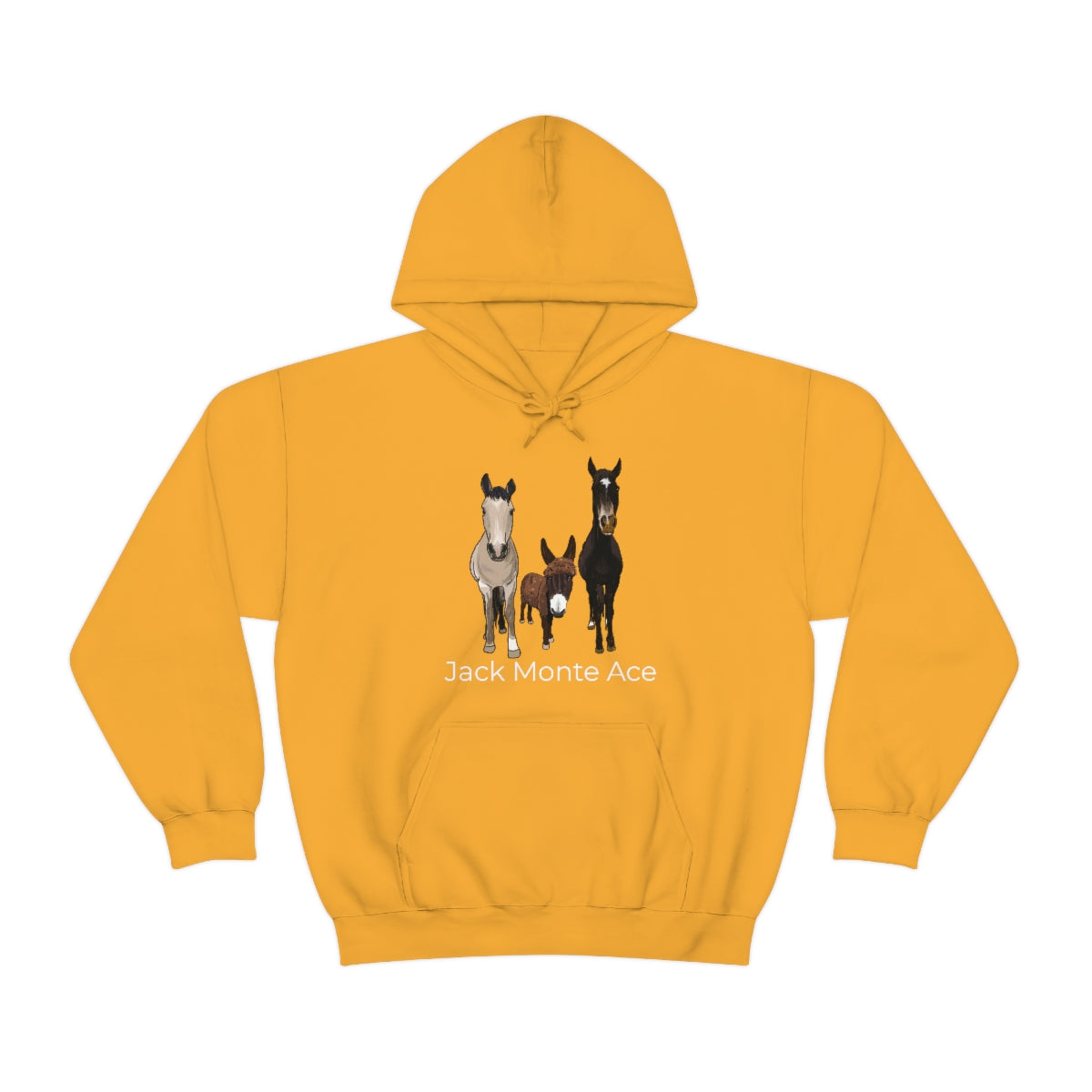 Monte the Singing Donkey and The Brudders Unisex Heavy Blend™ Hooded Sweatshirt (S-5XL)